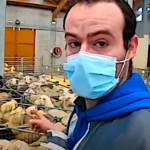 Je vends mes brebis au marché au cadran de Saugues