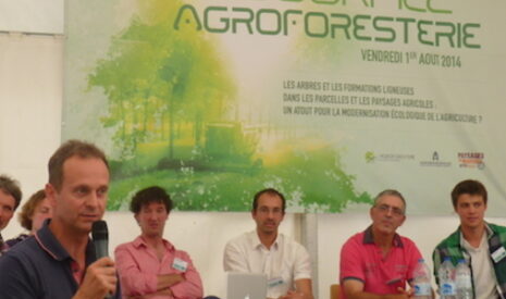 L’agroforesterie ou le retour du génie végétal dans les territoires