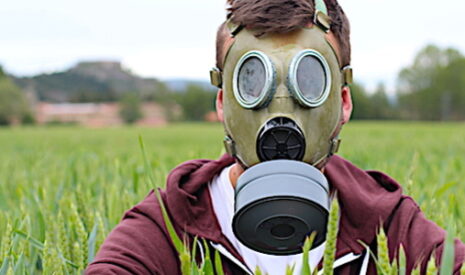 Lubrizol, qui va payer l’ardoise pour l’agriculture polluée ?