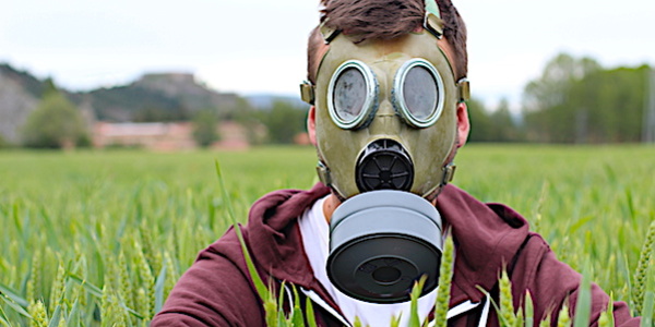 masque respiratoire champ de bl
