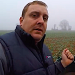 Je compte les larves d’altises par pied de colza pour la juste dose d’insecticide