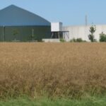 L’agriculture, l’autre modèle allemand