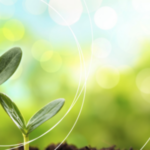 « Green Label » : la garantie d’un fertilisant pauvre en Cadmium