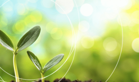 « Green Label » : la garantie d’un fertilisant pauvre en Cadmium
