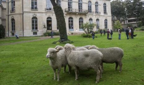 Rentrée politique et syndicale – Les agriculteurs sans cap, face à un vide institutionnel inédit