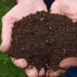 La matière organique du sol : à quoi ça sert ?