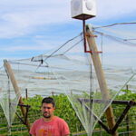 Insolite, écoutez la musique qui fait pousser les vignes !