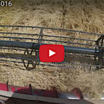 Moisson 2016, l’orge !