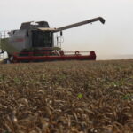 Blé, il manque 700 euros par hectare pour solder 2016 et financer la campagne 2017