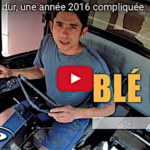 Moisson 2016 de blé dur, une année compliquée