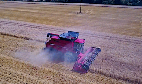 Moisson 2018, les orges d’hiver