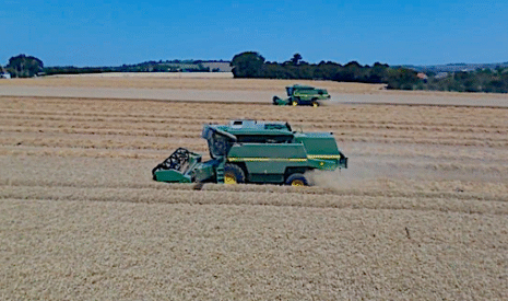 Moisson de blé dans le Pas-de-Calais