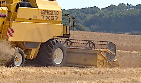 Moisson du blé tendre en Charente