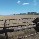 Moisson 2018 du colza en Indre-et-Loire