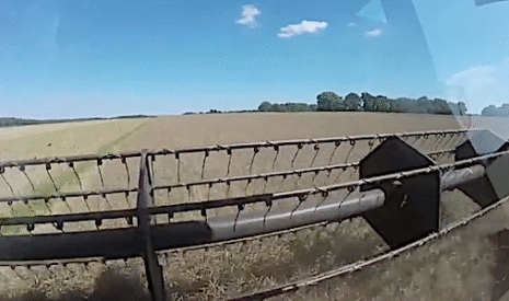 Moisson 2018 du colza en Indre-et-Loire