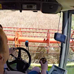 Moisson de colza 2020 dans la Vienne