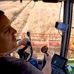 La moisson des pois