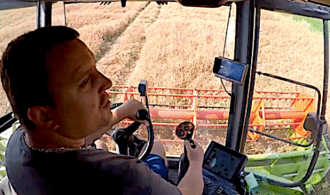 La moisson des pois