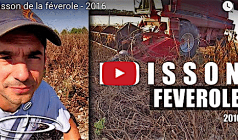 Moisson 2016, féverole !