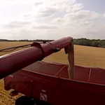 Moisson 2019, on commence par l’orge en Indre-et-Loire