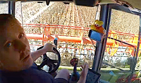 Moisson des tournesols 2020 dans la Vienne
