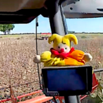 Moisson des tournesols dans la Vienne