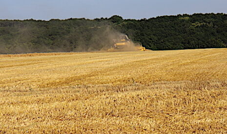 Et s’il n’y avait plus de ministère de l’agriculture ?