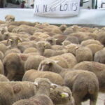 Salon de l’agriculture, la foire aux mécontents