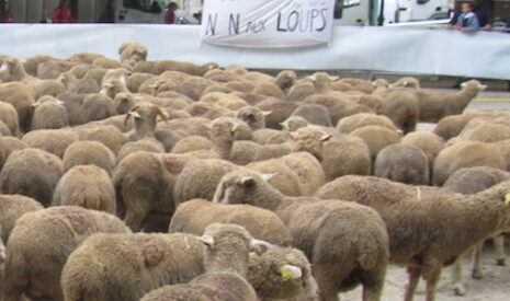 Salon de l’agriculture, la foire aux mécontents