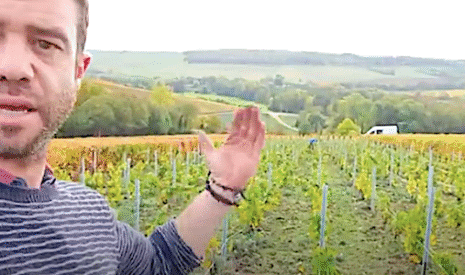 Champagne, comment j’installe une parcelle de pinot blanc
