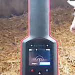Nouvelles technologies et brebis