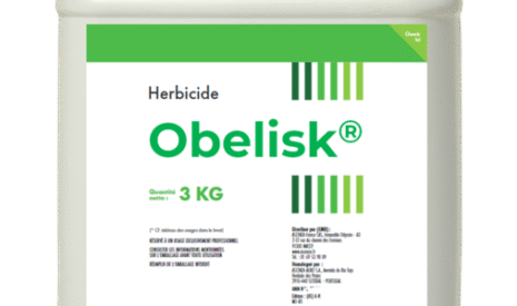 OBELISK : une nouvelle solution complète pour les désherbages des céréales en sortie d&rsquo;hiver