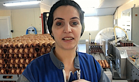 Production d’oeufs et solidarité locale du fait du confinement