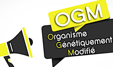 OGM, qui peut le plus peut le moins, faut-il accepter cela ?
