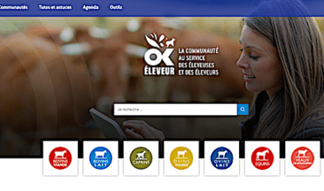 Okeleveur.com, le « compagnon de route des éleveurs »