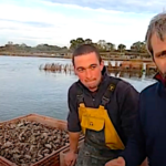 Moisson sur mer, l’ostréiculture vue par un céréalier