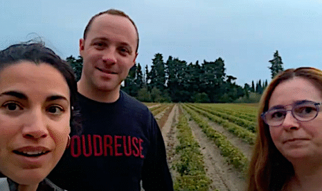 Visite d’une pépinière viticole dans le Vaucluse