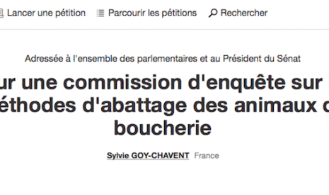 La sénatrice Sylvie Goy-Chavent demande une commission d’enquête sur les abattoirs