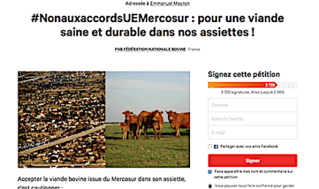 La fédération nationale bovine lance une pétition contre l’accord entre l’Europe et le Mercosur