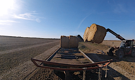 Le transport de la paille du champ à la ferme