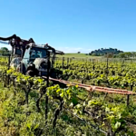 Le tracteur avec son pulvé embourbé au beau milieu des vignes !