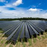 Agrivoltaïsme : BayWa r.e. ambitionne des projets de plusieurs Megawatts