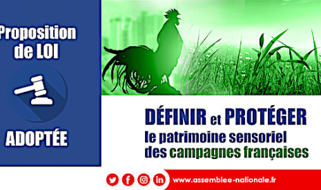 Les cloches des vaches et le chant des coqs appartiennent désormais au patrimoine sensoriel