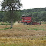 Présidentielle 2017, retraites, charges, transmission, burn-out… Et agriculture