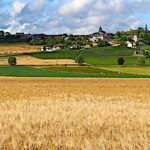 En France, 31,2 Mha sont dédiés à l’activité agricole