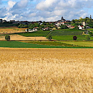 paysage agricole champagne ardennes