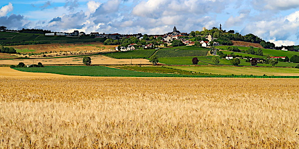 paysage agricole champagne ardennes