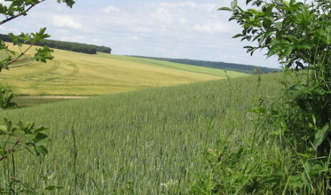 Pac 2021-2027, pas de transition agro-écologique sans sécurité du revenu des agriculteurs