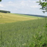 Produire ardennais relancera l’économie des Ardennes