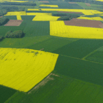 Chaque hectare de terre peut-être un puits à carbone